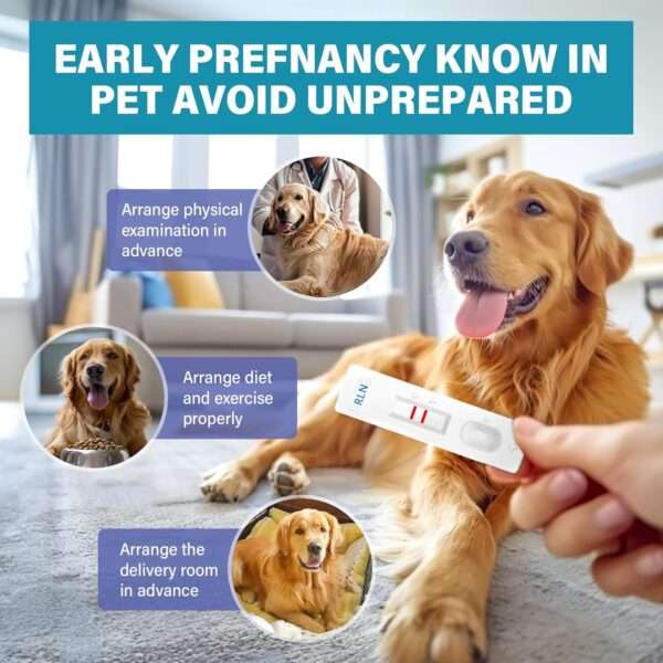 Kit de prueba de embarazo para perros con tiras de detección rápidas y precisas.