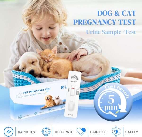 Kit de prueba de embarazo para perros y gatos, con resultados rápidos y precisos.