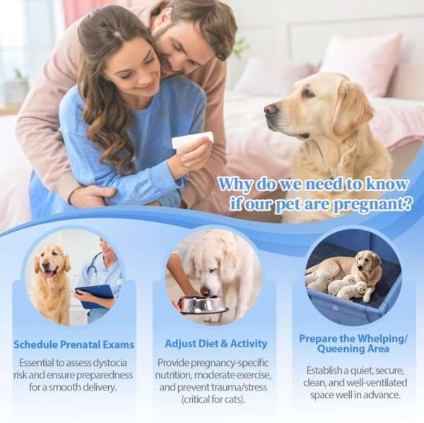 Kit de prueba de embarazo para perros y gatos, con resultados rápidos y precisos.