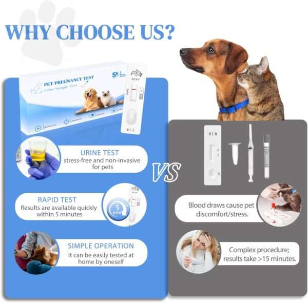 Kit de prueba de embarazo para perros y gatos, con resultados rápidos y precisos.