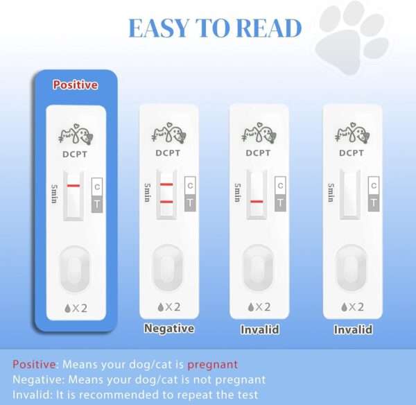 Kit de prueba de embarazo para perros y gatos, con resultados rápidos y precisos.