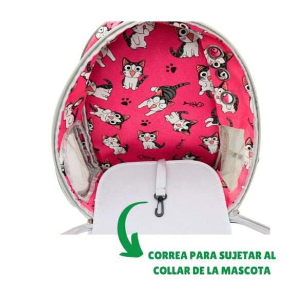 Mochila Transportadora Transparente para Perros y Gatos | Mochila de Viaje Portátil (41x33x25 cm) - Image 3