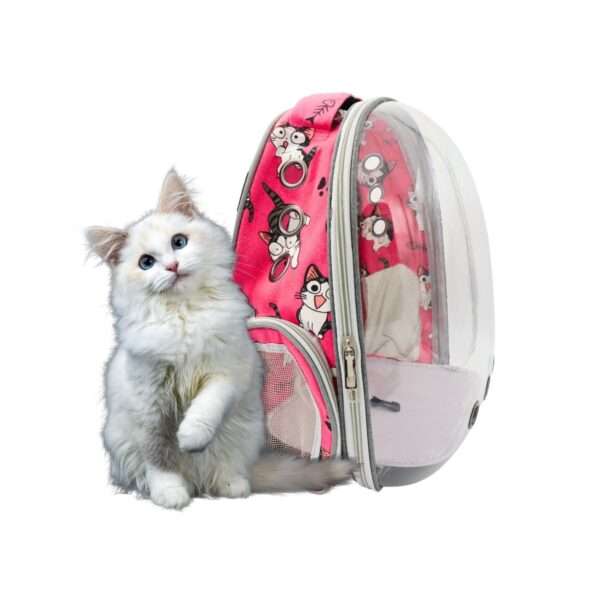 Mochila Transportadora Transparente para Perros y Gatos | Mochila de Viaje Portátil (41x33x25 cm) - Image 5