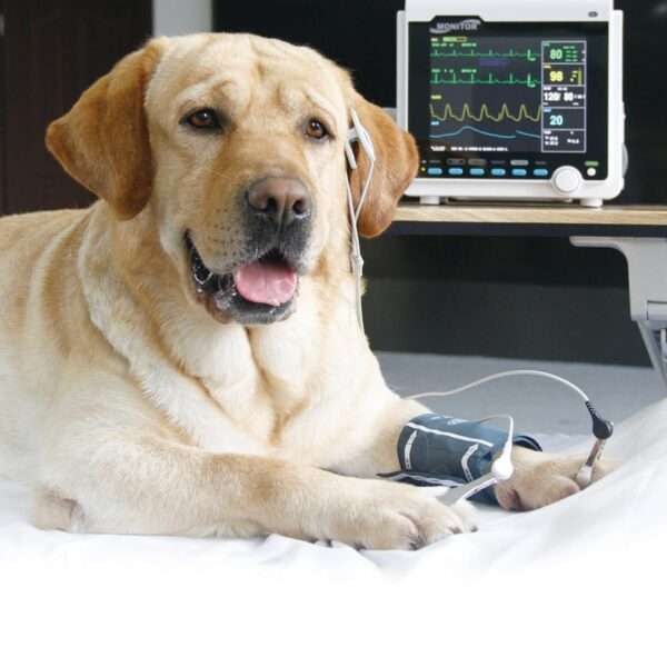 Monitor de paciente veterinario multiparamétrico para clínicas y uso casero. Mide ETCO2, presión arterial, SpO2 y otros parámetros en perros y gatos.