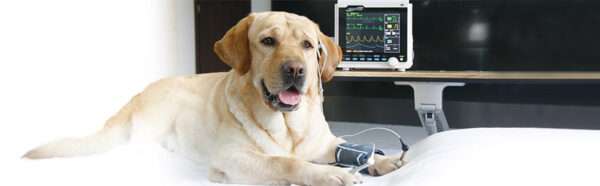 Monitor de paciente veterinario multiparamétrico para clínicas y uso casero. Mide ETCO2, presión arterial, SpO2 y otros parámetros en perros y gatos.