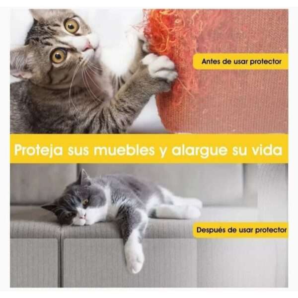 Protectores de sofá transparentes para gatos antiarañazos.