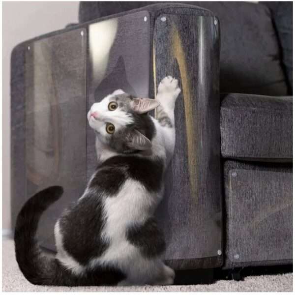 Protectores de sofá transparentes para gatos antiarañazos.