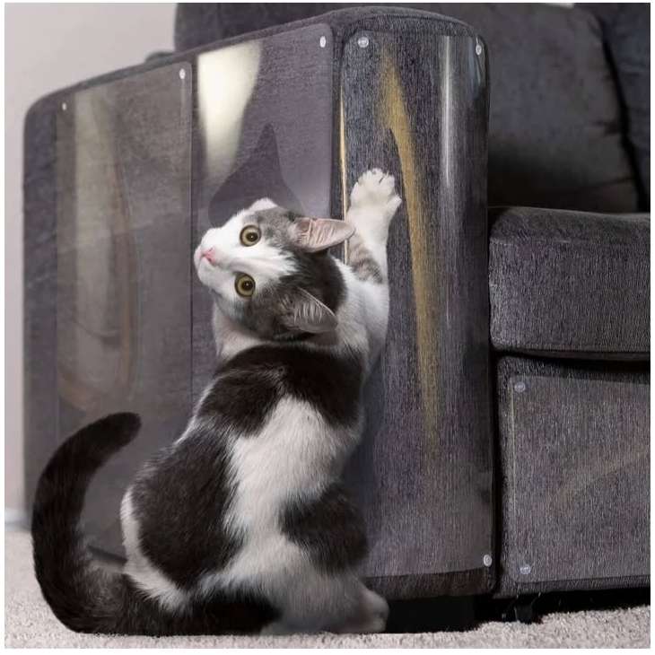 Protectores de sofá transparentes para gatos antiarañazos.