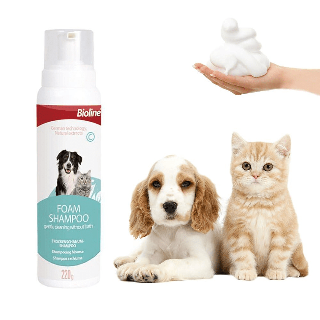 Shampoo de espuma seca Bioline para perros y gatos.