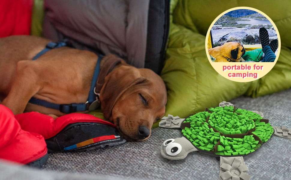 Tapete de olfato para perros con forma de tortuga. Es un comedero lento que ayuda a estimular la mente de la mascota.