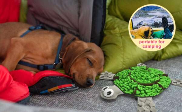 Tapete de olfato para perros con forma de tortuga. Es un comedero lento que ayuda a estimular la mente de la mascota.