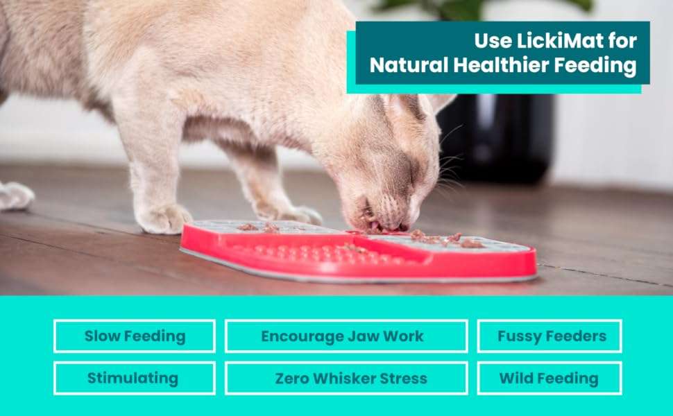 Tapete para lamer para gatos, ideal para alimentos, yogur y mantequilla de maní. Ayuda a reducir la ansiedad.