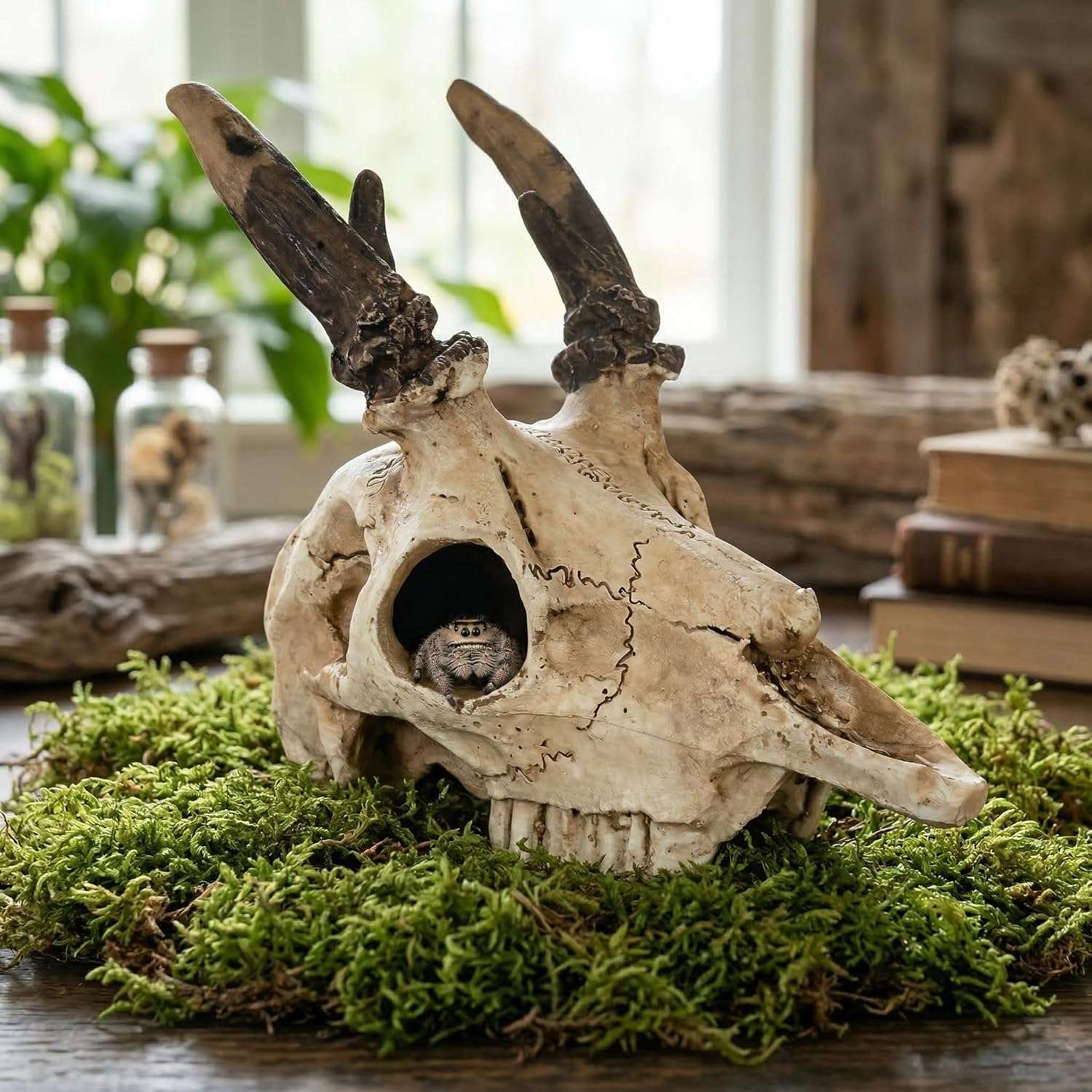 Escondite realista de calavera de Alce hecho de resina, con agujeros que ayudan a la muda natural de reptiles.