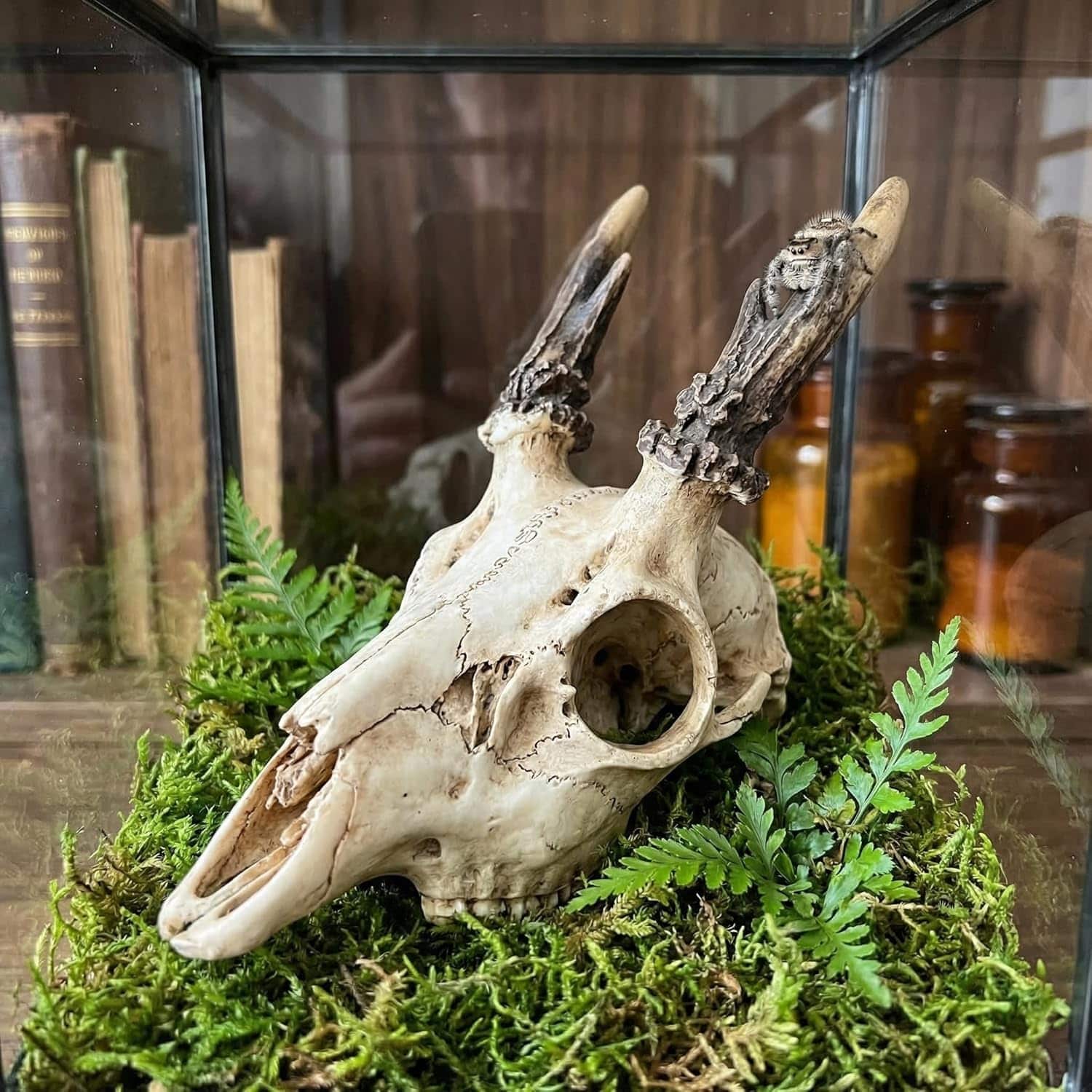 Escondite realista de calavera de Alce hecho de resina, con agujeros que ayudan a la muda natural de reptiles.