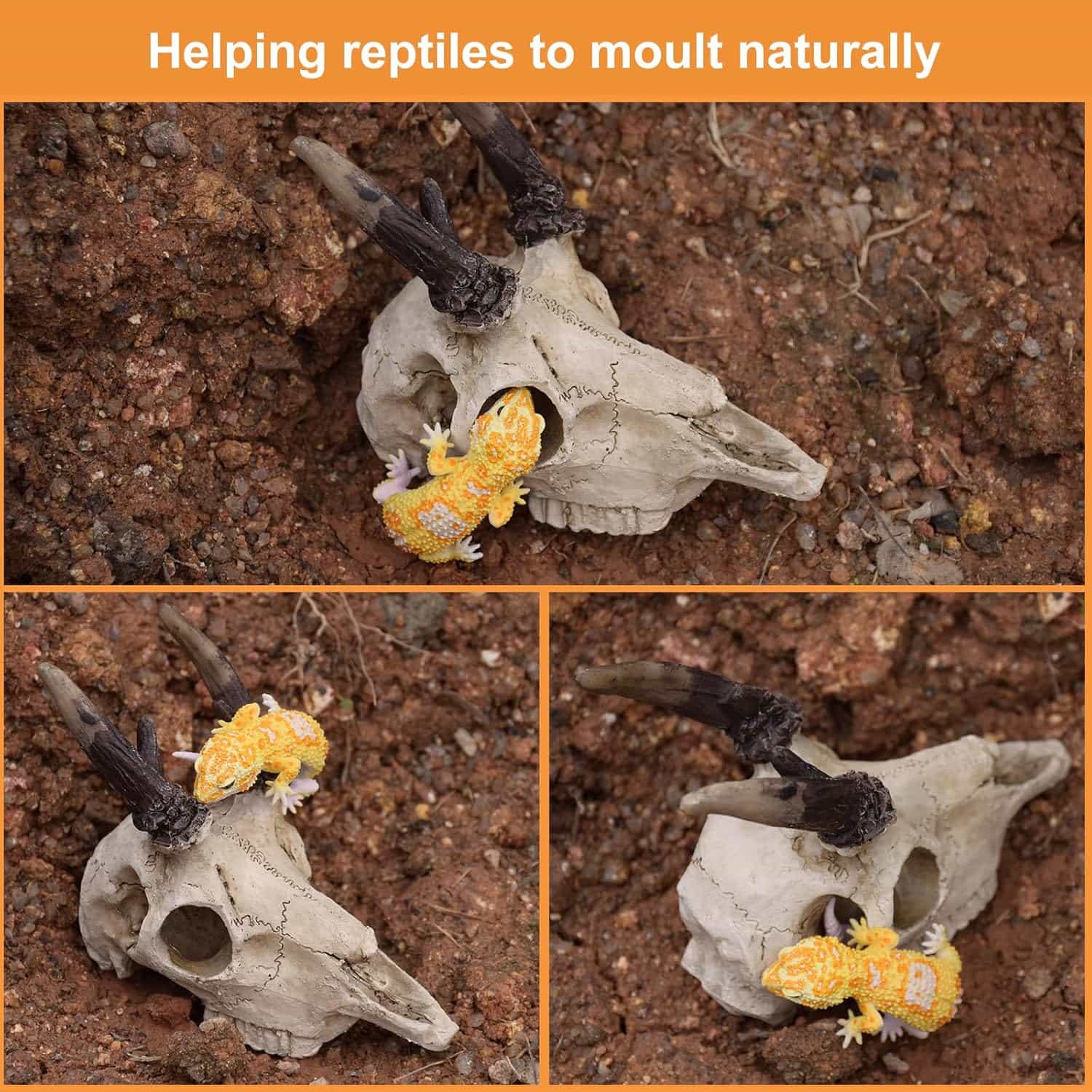 Escondite realista de calavera de Alce hecho de resina, con agujeros que ayudan a la muda natural de reptiles.