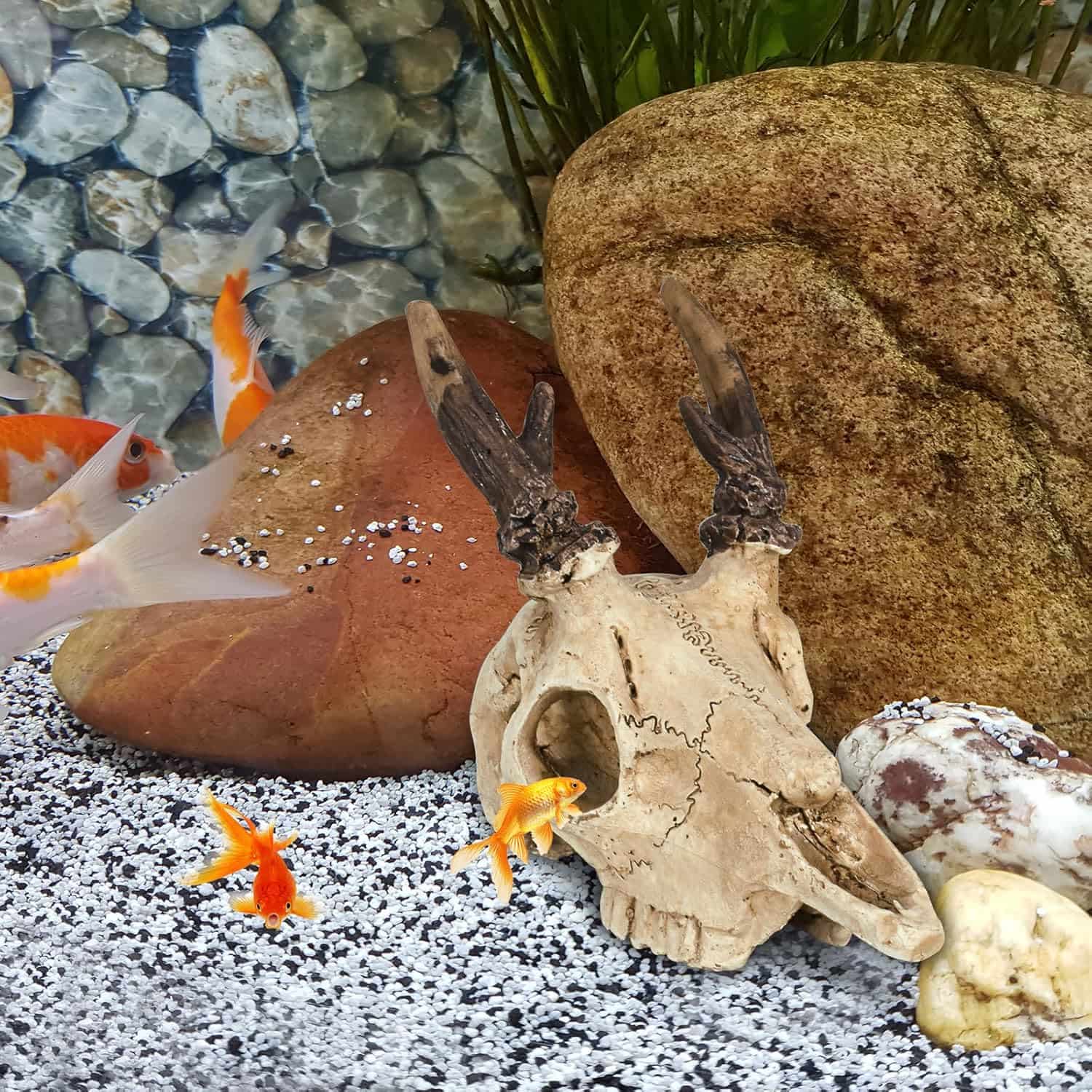 Escondite realista de calavera de Alce hecho de resina, con agujeros que ayudan a la muda natural de reptiles.