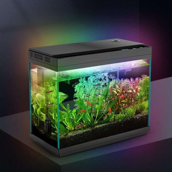 Acuario de vidrio 9L con pantalla de temperatura, humidificador y base LED de 7 colores. Control táctil para iluminación, filtración silenciosa y bomba de oxígeno 3 en 1.