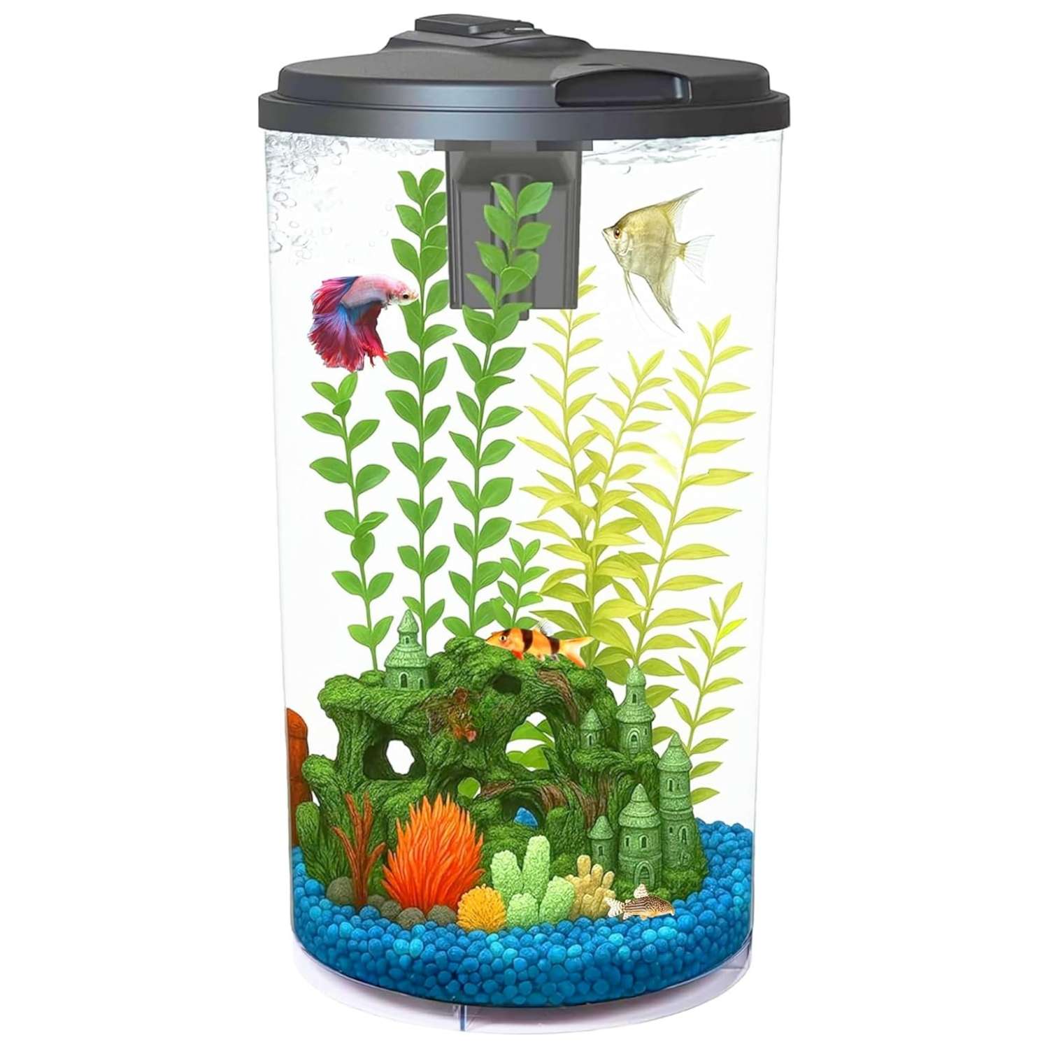 Acuario redondo o cilíndrico de 10 galones (29x50 cm). Construcción de plástico resistente a impactos con luz LED programable de 7 colores y filtro de potencia interno de 45 GPH.