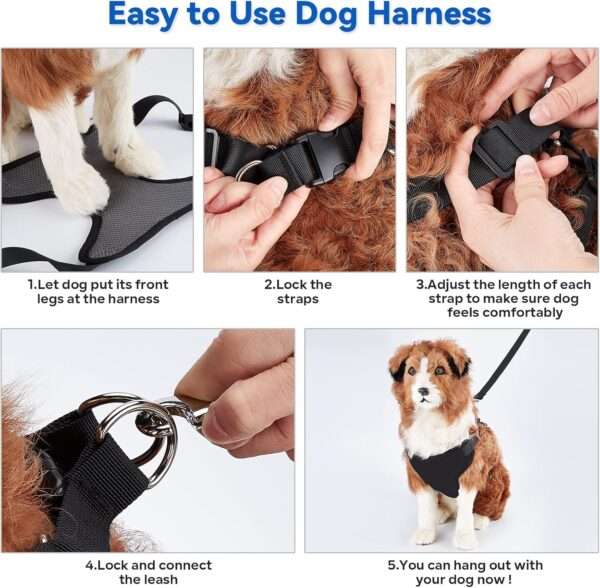 Arnés de aseo para perros grandes y gatos.