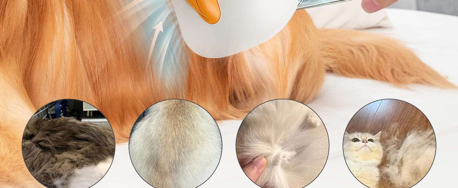Aspiradora para gatos, kit de aseo, bajo ruido, 4 en 1.
