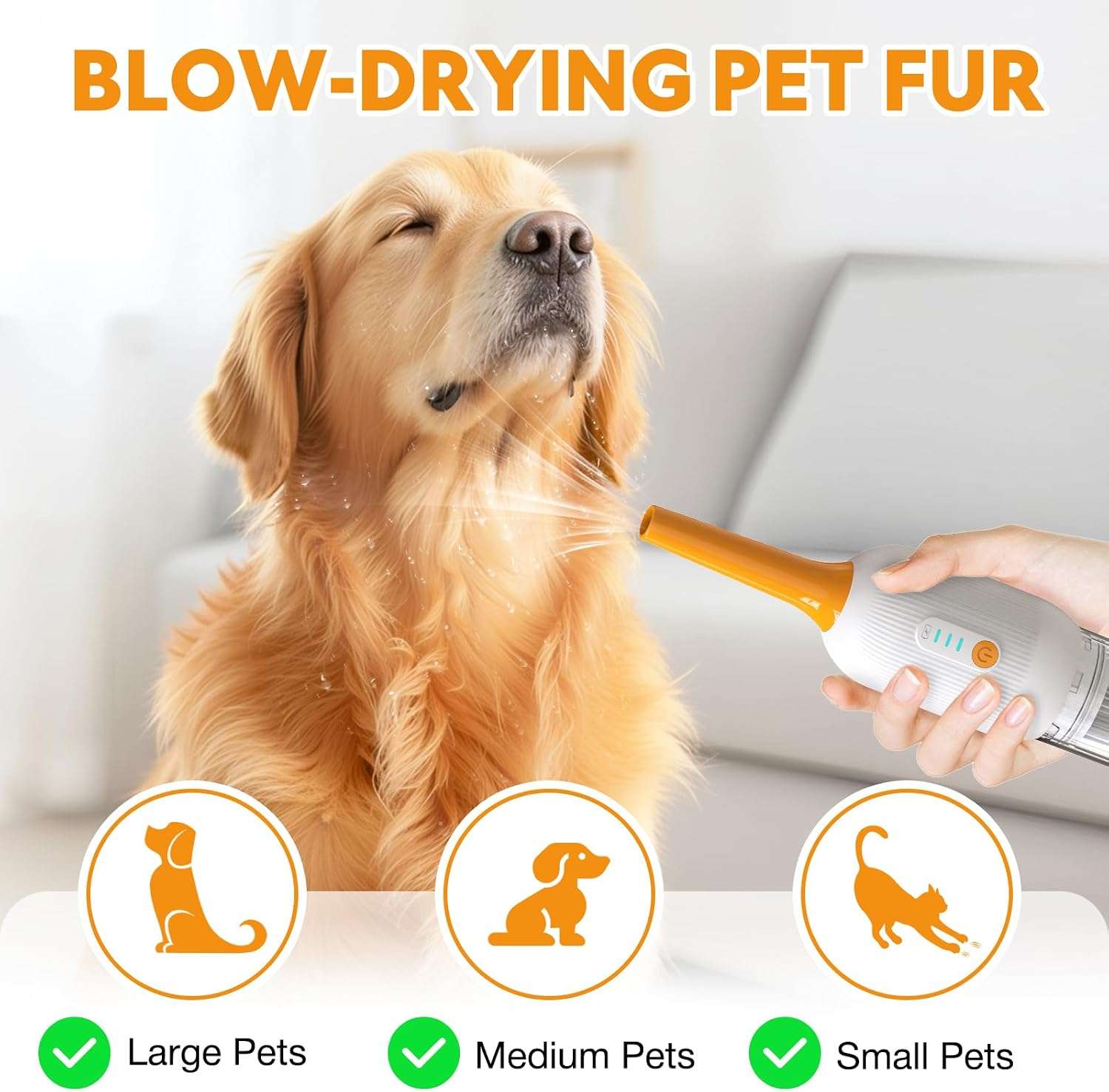 Aspiradora Inalambrica Silenciosa para Gatos - Kit de Aseo Profesional 4 en 1 - Imagen 7