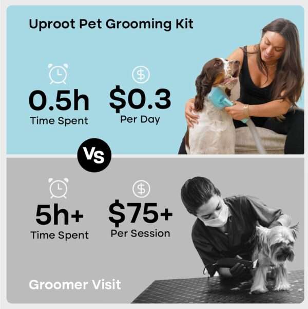 Kit de aspiradora de aseo para mascotas, completo, para perros y gatos.