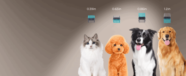 Kit profesional de aseo 5 en 1 para mascotas con aspiradora y 5 herramientas, succión de 13000 Pa.