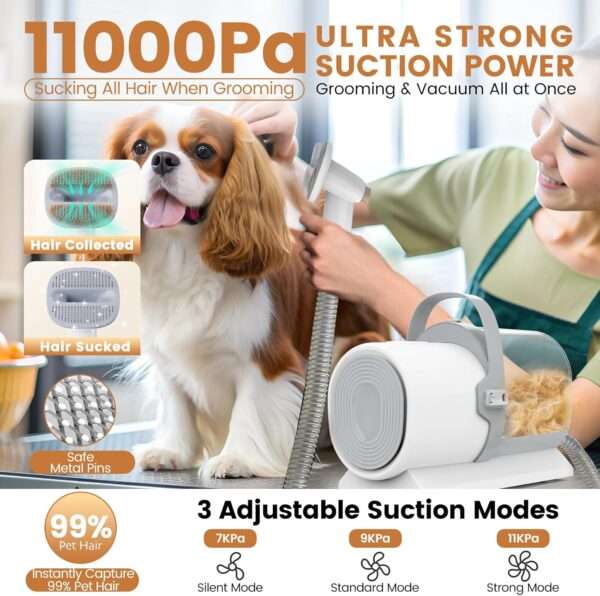 Kit profesional 7 en 1 para mascotas: Aspiradora de pelo de perro y gato con succión de 11,000 Pa.