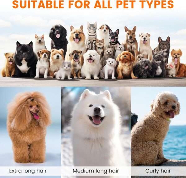 Kit profesional de aseo 5 en 1 para mascotas: Aspiradora de pelo con succión de 12,000 Pa para perros y gatos.
