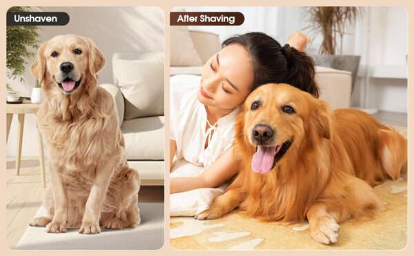 Kit profesional 6 en 1 para mascotas: Aspiradora de pelo silenciosa con 6 herramientas para perros y gatos.