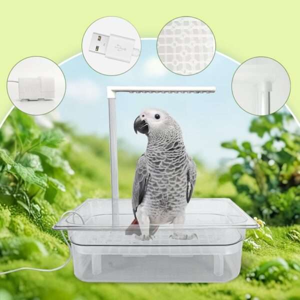 Bañera para pájaros. Grifo de circulación automático con alimentación USB.