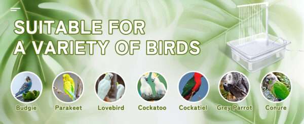 Bañera para pájaros. Grifo de circulación automático con alimentación USB.