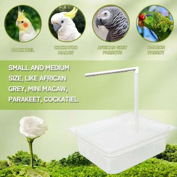 Bañera para pájaros. Grifo de circulación automático con alimentación USB.