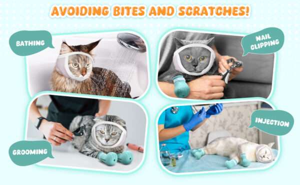 Bozal para gato y botas de silicona en uso, kit antiarañazos y mordeduras para aseo.