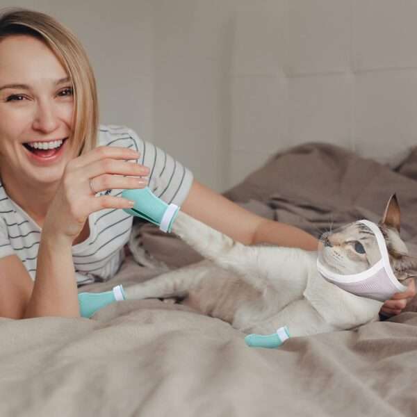 Bozal para gato y botas de silicona en uso, kit antiarañazos y mordeduras para aseo.