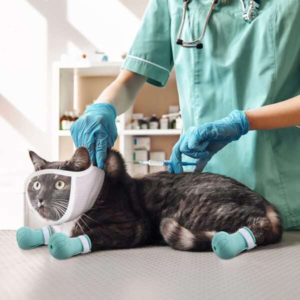 Bozal para gato y botas de silicona en uso, kit antiarañazos y mordeduras para aseo.