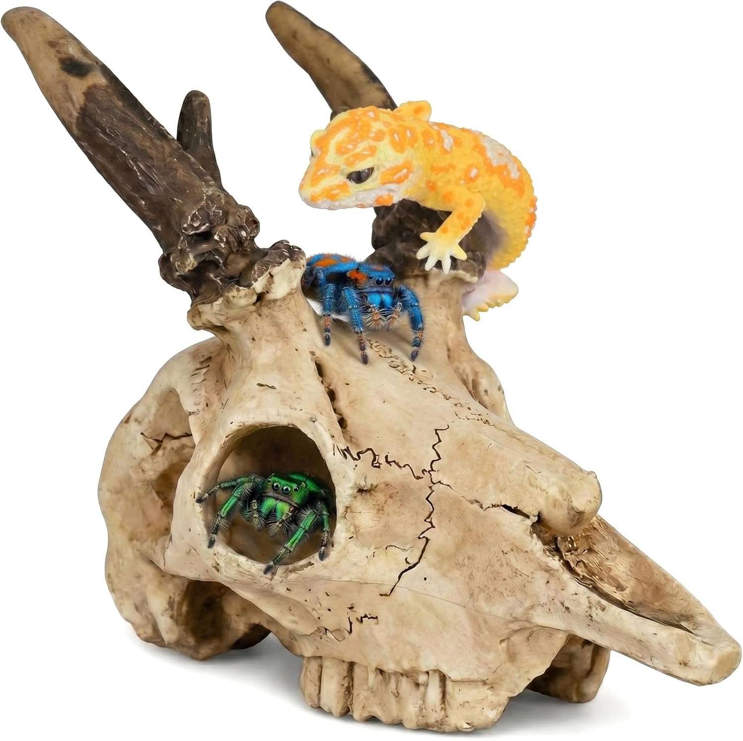 Escondite realista de calavera de Alce hecho de resina, con agujeros que ayudan a la muda natural de reptiles.