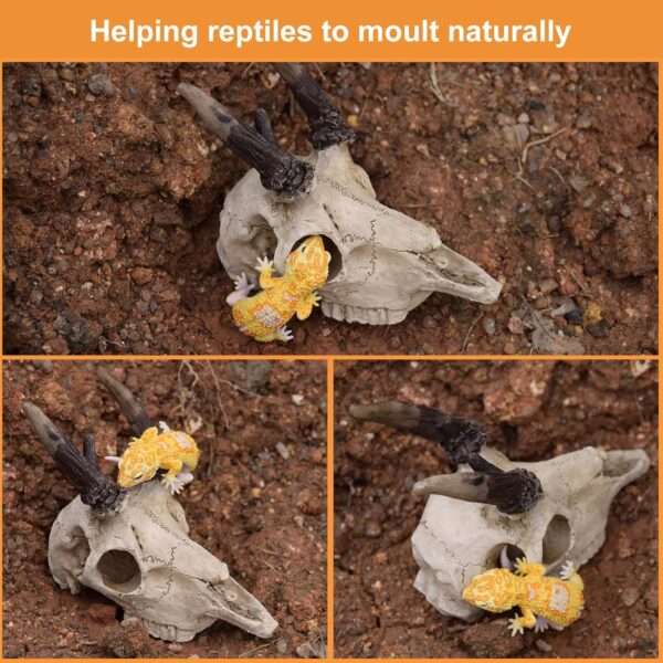 Escondite realista de calavera de Alce hecho de resina, con agujeros que ayudan a la muda natural de reptiles.