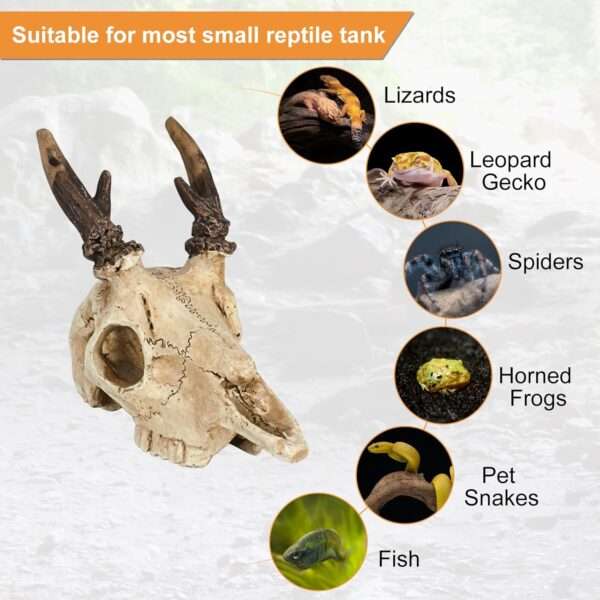 Escondite realista de calavera de Alce hecho de resina, con agujeros que ayudan a la muda natural de reptiles.