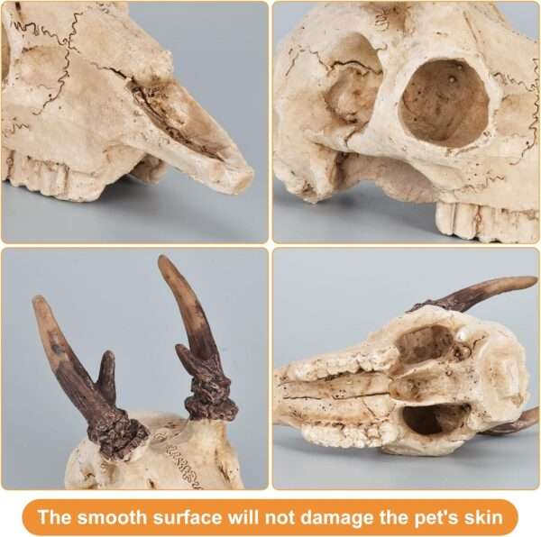 Escondite realista de calavera de Alce hecho de resina, con agujeros que ayudan a la muda natural de reptiles.