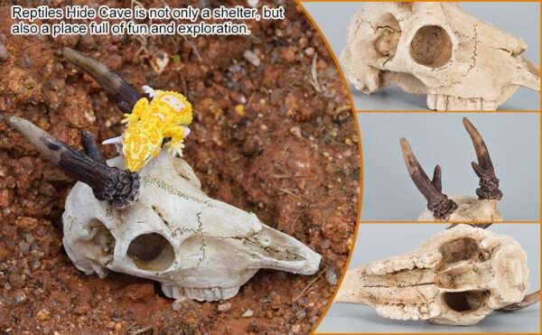 Escondite realista de calavera de Alce hecho de resina, con agujeros que ayudan a la muda natural de reptiles.