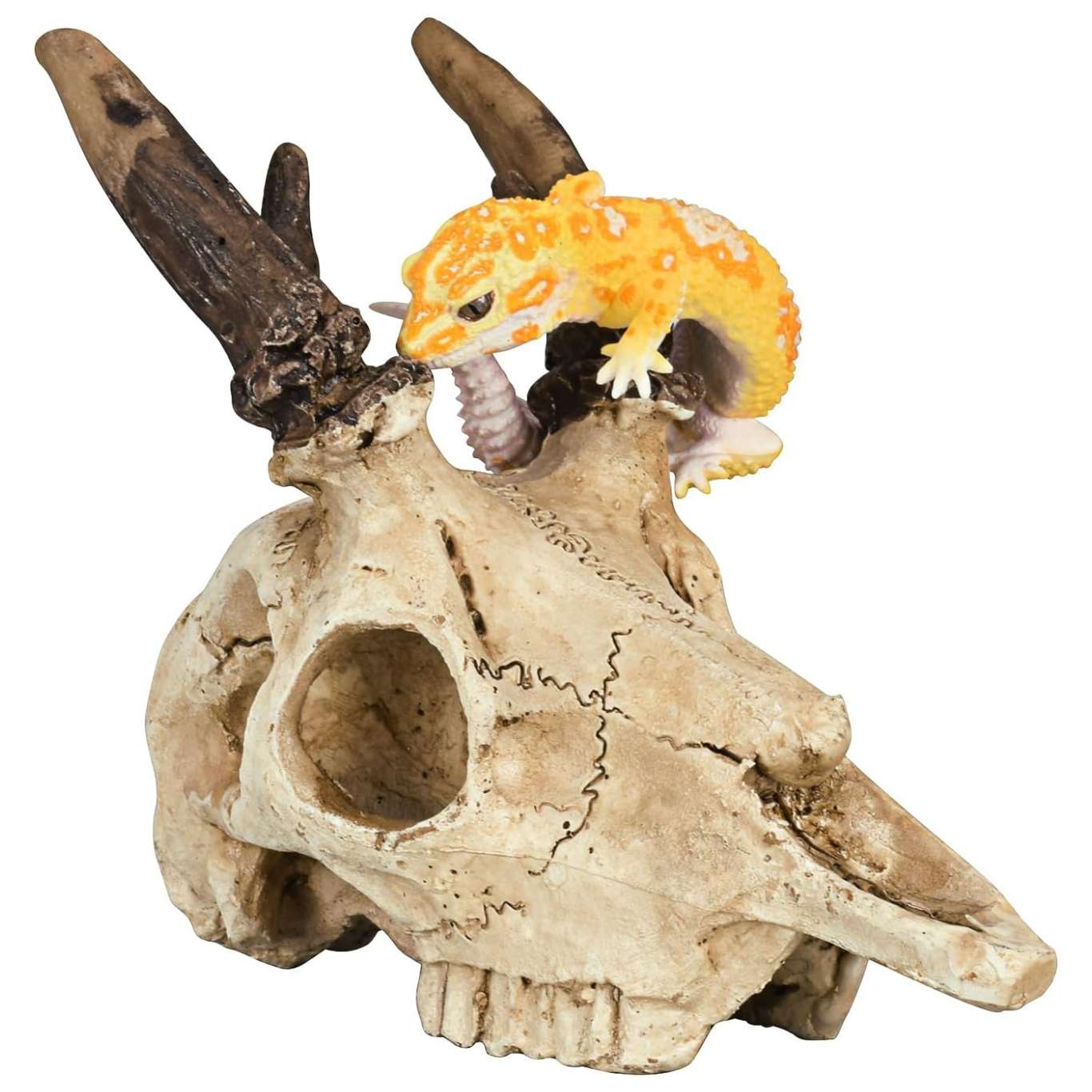 Escondite realista de calavera de Alce hecho de resina, con agujeros que ayudan a la muda natural de reptiles.