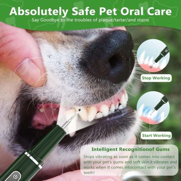 Cepillo de dientes eléctrico para perros. Removedor de sarro con 5 modos y 3 cabezales.