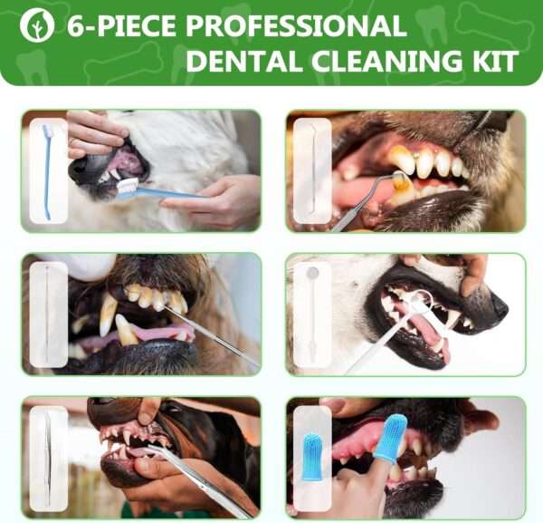 Cepillo de dientes eléctrico para perros. Removedor de sarro con 5 modos y 3 cabezales.
