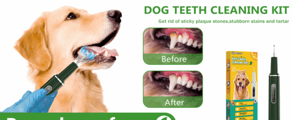 Cepillo de dientes eléctrico para perros. Removedor de sarro con 5 modos y 3 cabezales.