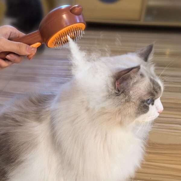 Cepillo de vapor para gatos, 4 en 1, para eliminación de pelo.
