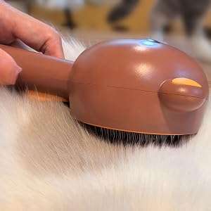 Cepillo de vapor para gatos, 4 en 1, para eliminación de pelo.