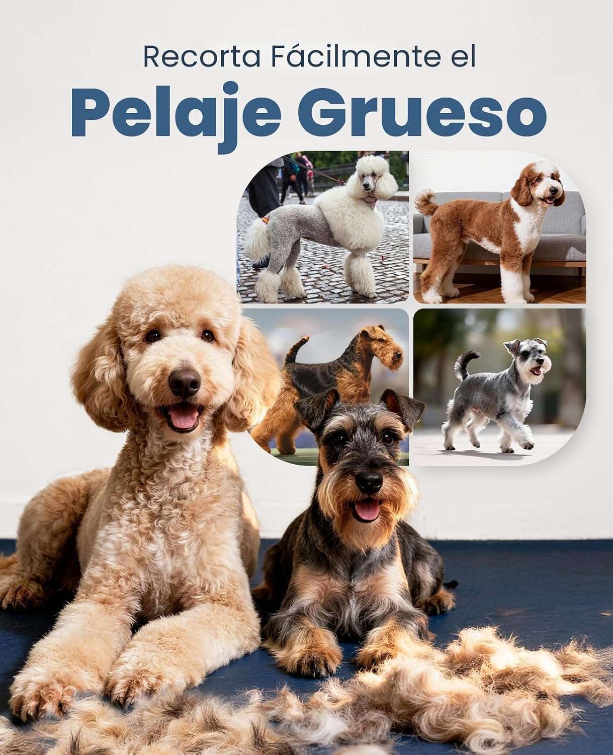 Cortapelos profesional inalámbrico para perros, silencioso y a prueba de agua.