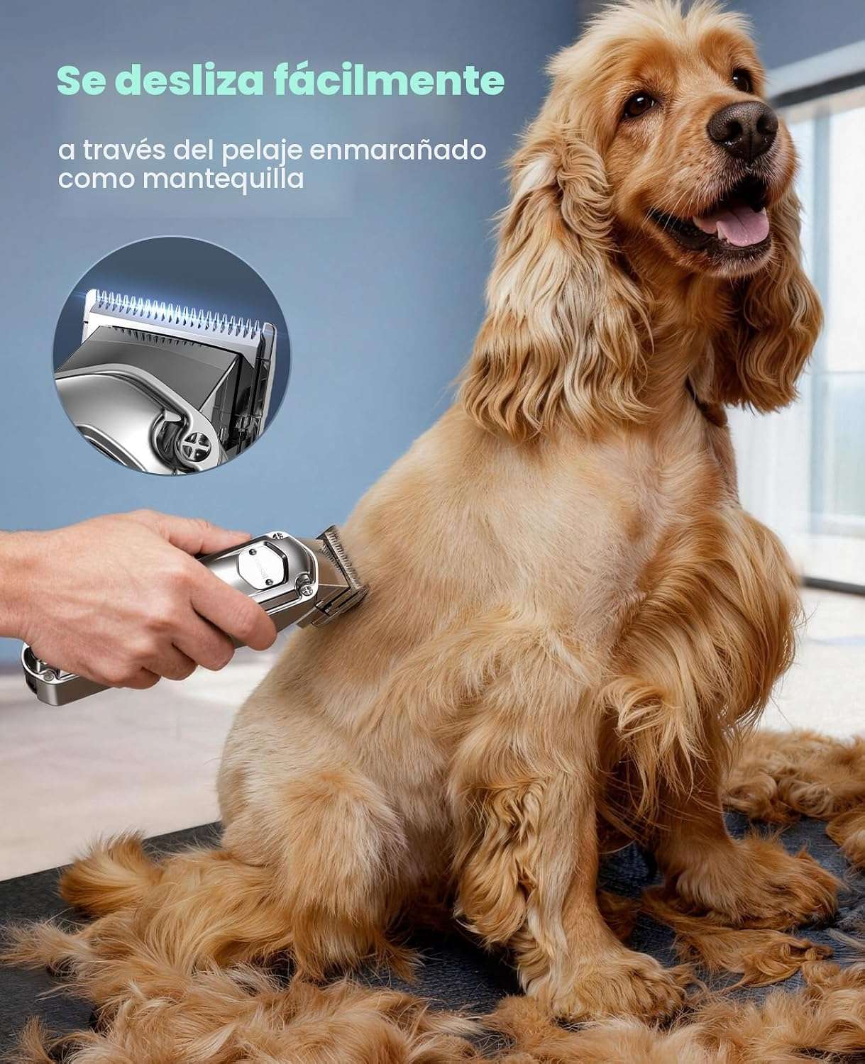 Cortapelos profesional inalámbrico para perros, silencioso y a prueba de agua.