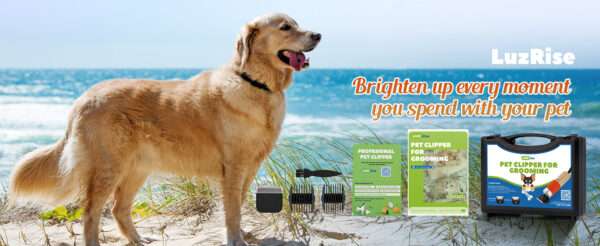 Cortapelos profesional de alta potencia (200 W) para perros.